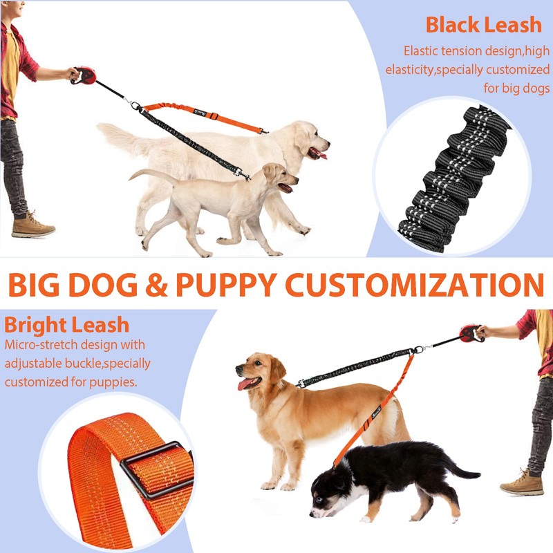 Double Dog Lead No Tangle, No Tangle Split Lead for