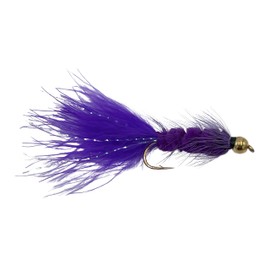 Feeder Creek Bead Head Woolly Bugger Fly Fishing Flies | 12pc Flies for Fly Fishing | 4 Size Assortment Trout Flies 6, 8, 10, 12 (3 of Each Size) Fly Fishing Gear (Purple)