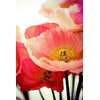 Pollinator Attracting Wildflower Seeds - Attracts Bees, Butterflies, and Other