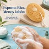 Esponja Exfoliante Corporal Diochefac01g679m 2 Unidades - Cuidado Diario