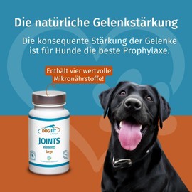 DOG FIT by PreThis® Joints Elements I Joint Protection & Osteoarthritis Preparation for Dogs I Free from Additives (Large from 25 kg)