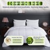 YOUR MOON Luxurious All Season Wool Comforter Twin Size 100%