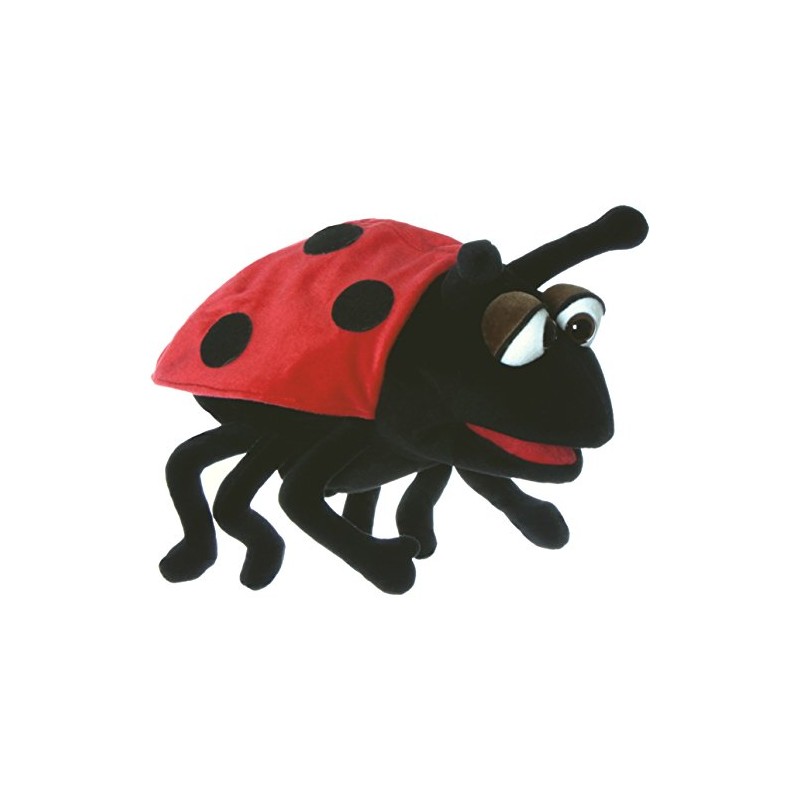 Hubi the Ladybird