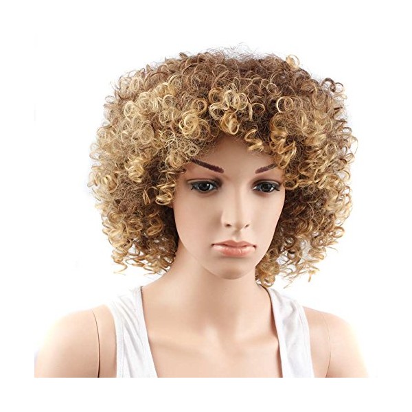 Royalvirgin Short Curly Afro Synthetic Hair Wig with Ombre Black and Brown/Blonde Mix