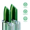 BELWEDER - 2 revitalising lip balm with phytosterols - protective,