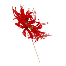 NOLITOY Flower Hairpin Metal Hair Stick for Hanfu Traditional Chinese Hair Chopsticks Flower Clip for Women