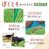 FOily TOily Dog Toy, Chewing Toy, Durable, Stuffed Animal for