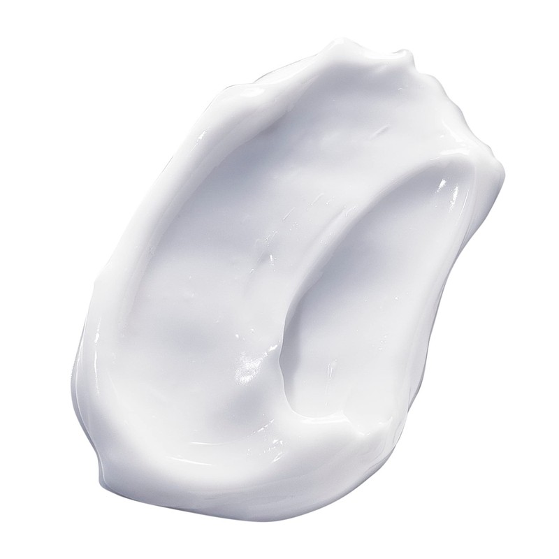 Natura Bissé Day Face Cream 150ml