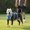 Huntboo Escape Proof Dog Harness, Escape Artist Harness, Reflective Harness