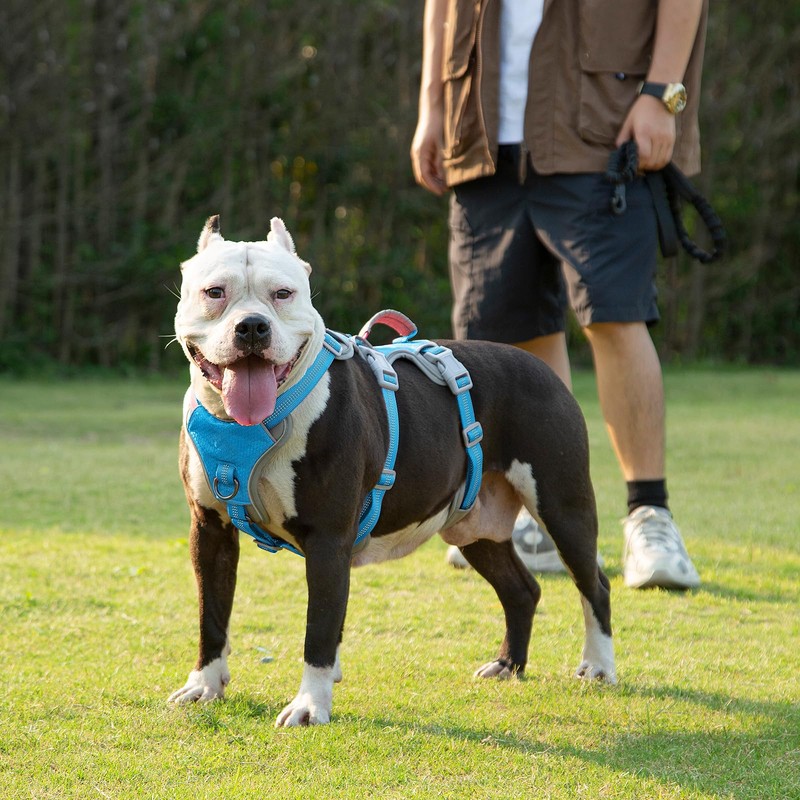 Huntboo Escape Proof Dog Harness, Escape Artist Harness, Reflective Harness