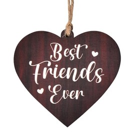 Best Friends Gifts for Women Birthday Gifts for Friends Female Friendship Best Friends Signs for Home Decor Wall Hanging Art Girl Friend Plaques BFF Bestie Ornaments Best Friend Graduation Gift Ideas