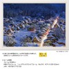 500 Piece Jigsaw Puzzle with Lights Shirakawa-go (Gifu) (15 x