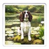 Springer Spaniel Dog Coaster Set. 4 different Springer Spaniel Dog