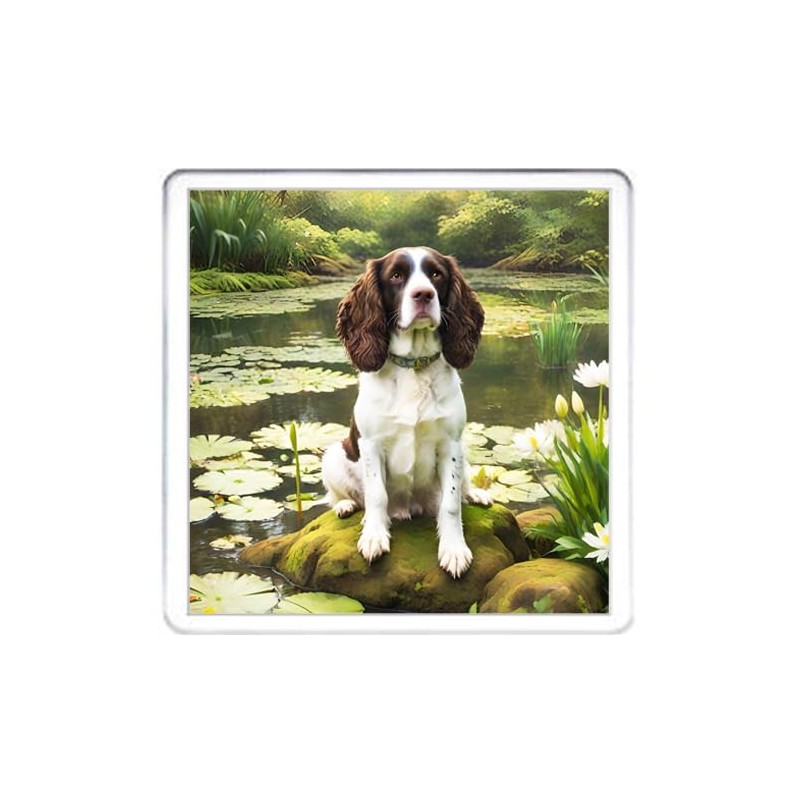 Springer Spaniel Dog Coaster Set. 4 different Springer Spaniel Dog