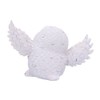 Nemesis Now Snowy Delight Owl Figurine 20.5cm, Resin, White, Charming