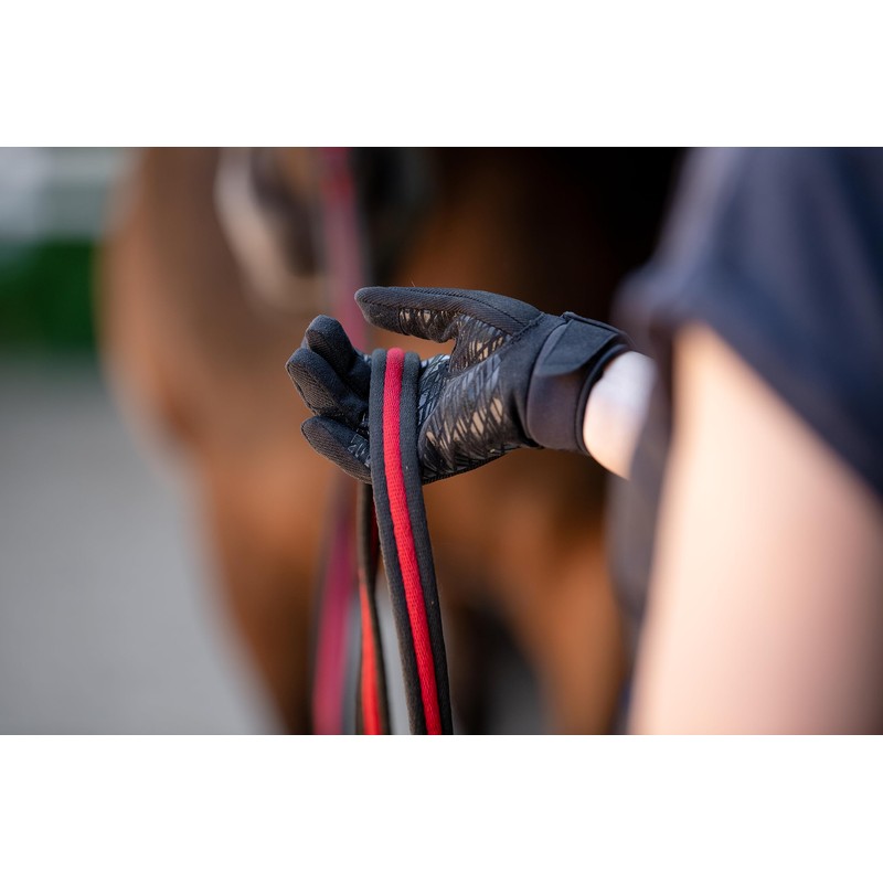 Roeckl Sports Riding Gloves Mans, Leisure Summer Gloves, Black 6