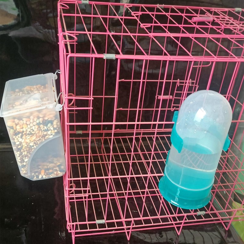 Automatic Pigeon Bird Feeder Water, Plastic Feeder Water Dispenser Drinkers