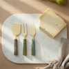 Creative Co-Op 3-Piece Stainless Steel Cheese Knife Set with Resin