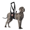 S-ETOVUS Dog Sling for Back Legs, Dog Lift Harness, Velcro