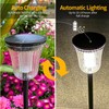 SAMTANGFAI Bright Solar Pathway Light 4 Pack,High Lumen 2-in-1 Cool