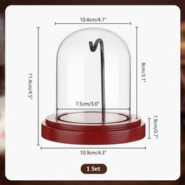 PH PandaHall 3 x 4 inch Pocket Watch Display Case Glass Watch Dome Cloche with Metal Hook Display Jar with Wood Base Display Dome Showcase for Pocket Watches Medals Collectibles Photos Father's Day