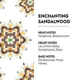 Maison Berger Enchanting Sandalwood Fragrance Refill – 1 Liter (33.8 fl oz) Oil for Lampe Berger Diffuser, Air Freshener Warm Woody Scent, 160 Hours Aroma, French Perfumery Heritage