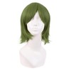 MapofBeauty 12 Inch/30 cm Men Women Short Straight Side Bangs