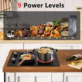 Disaenvir 2 Burner Electric Cooktop - 12 Inch Electric Stove Top 3000W, 220V Built-in Ceramic Cook Top with Retro Knob, 9 Power Heating Level, 220-240V Hard Wired