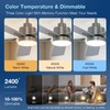 warmiplanet 52 Inch Indoor Ceiling Fans with Lights and Remote