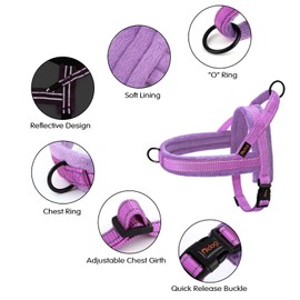 Didog Soft Flannel Padded Dog Vest Harness, No Pull/Quick Fit Reflective Dog Strap Harness, Easy for Training Walking (S:Chest 18-22", Purple)