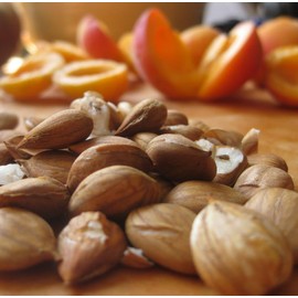 Cranberry Lane Apricot Kernel Oil 1L