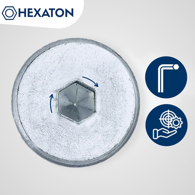 HEXATON M6 x 60mm Hex Socket Pan Head Screws -