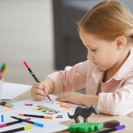 AOMEES 24 Colours Acrylic Pens for Stones Waterproof, Dual Tip Acrylic Marker Acrylic Pens for Wood, Paper, Glass, Canvas, Shells, Crafts Acrylic Paint Markers (24)