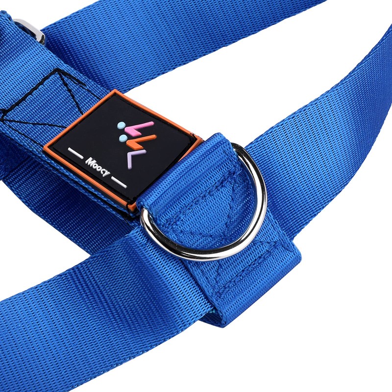 MOOCY Profession 2 Pack All-Legs 4 Ring Ankle Strap for