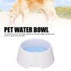 Pet Slow Water Feeder Splash Proof Prevent Slip Raised Water
