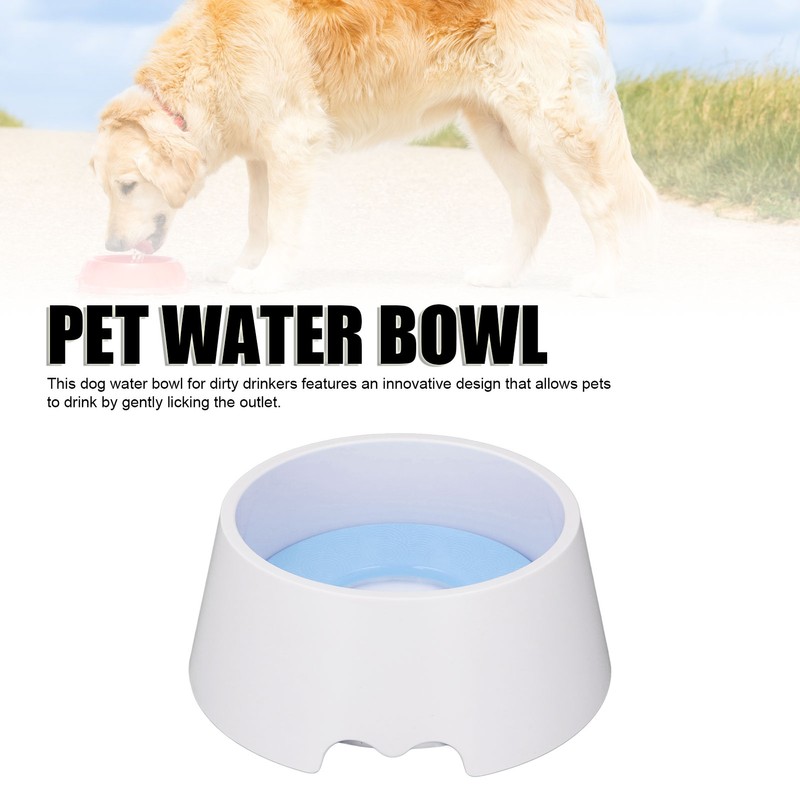 Pet Slow Water Feeder Splash Proof Prevent Slip Raised Water