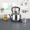 Aramco Alpine Cuisine Tea Kettle & Strainer, 3 L, Stainless