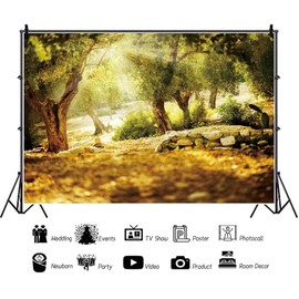 Leyiyi 6x4ft Natural Scenery Backdrop Olive Trees Sunshine Wonderland Dreamy Haze Blurred Background Stone Natural Forest Landscape Forest Park Vinyl Video Photo Studio Props