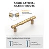 Coinkoly 10-Pack 5 Inch(128MM) Hole Center Champagne Bronze Cabinet Pulls,