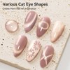 Bevimee Cat Eye Nail Polish Gel, Magnetic Gel Polish Dusty