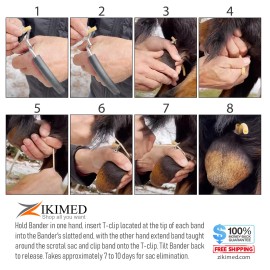 zikimed California Bloodless Castration Stainless Steel Bander Only