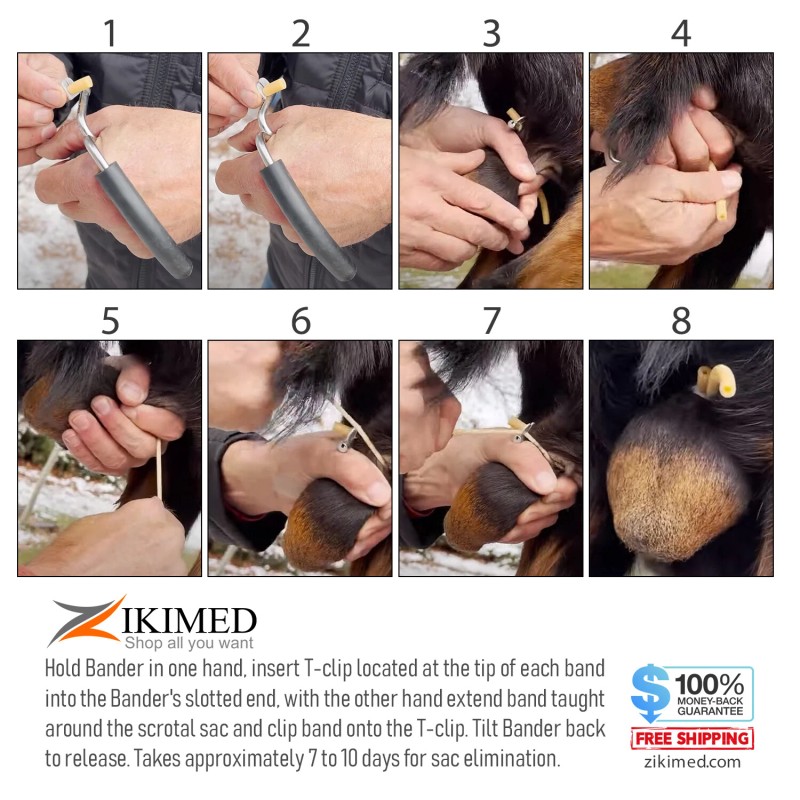 zikimed California Bloodless Castration Stainless Steel Bander Only