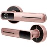 Indoor Smart Biometric Fingerprint Aluminium Alloy Security Electronic Door LockRight