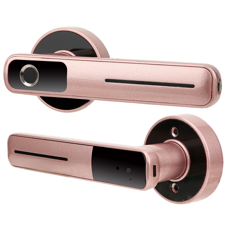 Indoor Smart Biometric Fingerprint Aluminium Alloy Security Electronic Door LockRight