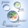 Pantene Micellar Detox & Moisturize Shampoo 530ML