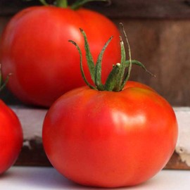 Marglobe Tomato Seed - 1 OZ ~7,500 Seeds - Heirloom, Open Pollinated, Non-GMO, Farm & Vegetable Gardening Seeds