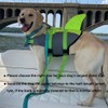 Doglay Dog Life Jacket, Ripstop Cute Shark Dog Life Jacket