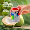 Conchita Coconut Water - Refreshing Tropical Drink - 10.4 oz