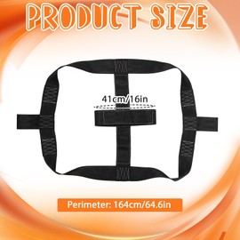 Datanly 2 Pcs Universal Motorcycle Rear Wheel Tie Down Strap in Black Transport Balance Strap for Trailer Rear Wheel Tie Down for Motorcycle, Dirt Bike, Atvs, Sport Bike