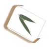 Desktop Plant Specimen Frame Wooden Acrylic Simple Modern Photo Frame
